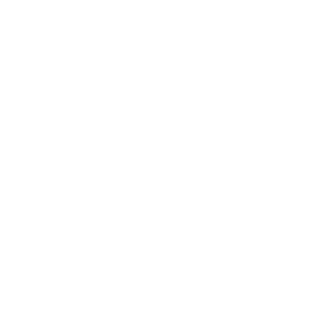 icon-protection